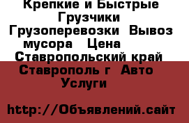 Крепкие и Быстрые Грузчики. Грузоперевозки. Вывоз мусора › Цена ­ 250 - Ставропольский край, Ставрополь г. Авто » Услуги   